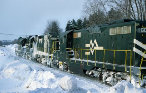 MIGN at Alanson MI